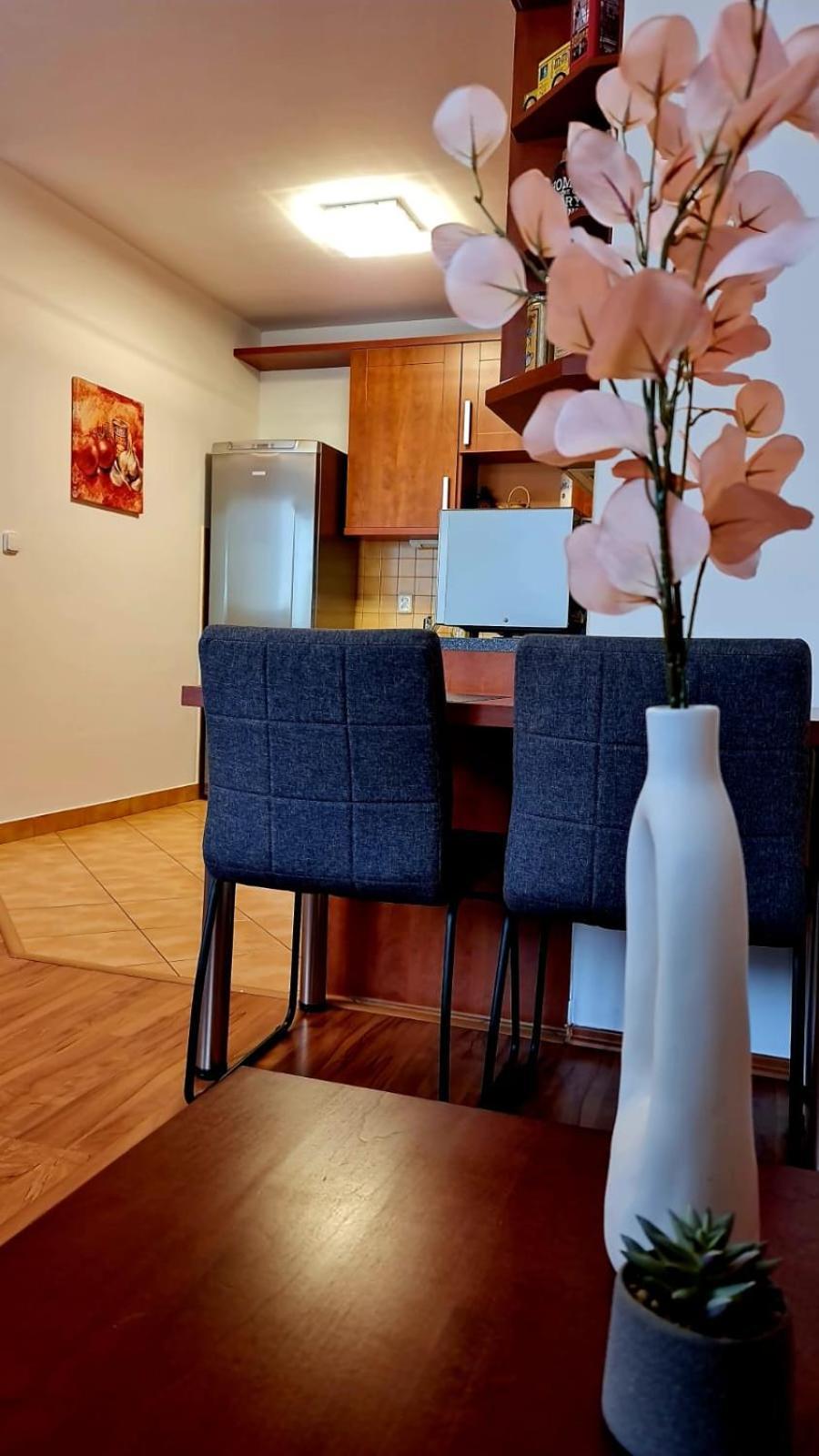 Apartman P+Z 兹诺伊莫 外观 照片